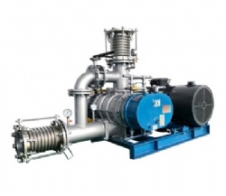 Roots Steam Compressor